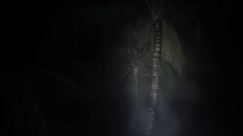 Flashlight in the dark from the first person, palm trees night in the rain Stock Footage 202286638
