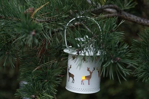 Flashlight with deer pattern on a pine branch close up Stock Photos