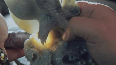 The flashlight illuminates the jade to check the impurities inside，China Stock Footage 140765290