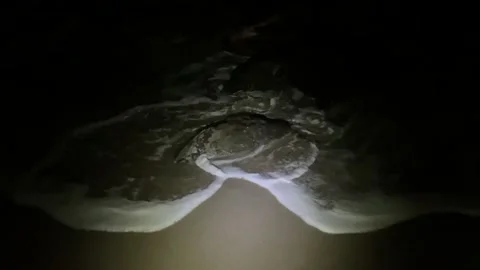 Flashlight Searching Beach Video stock 168256896
