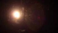 Flashlight Searching Spooky Woods At Night In Rain Stock Footage