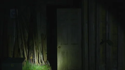 Flashlight Searchingly Moves Through an Empty Barn Video stock 208734033
