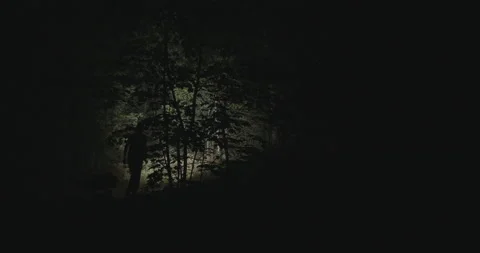 Flashlight shining eerily through spooky woods Stock Footage