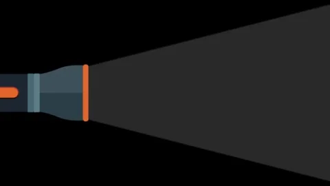 Flashlight shining a missing person poster commemorate Day of the Disappeared Video stock 311916142