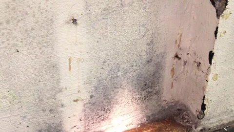 Flashlight shining on moldy wet basement wall Stock Footage 70112911