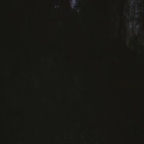 Flashlights in the woods Stock Footage 69329870