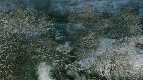 Flashy Stream Flowing into Mountain River Stock Footage 61231345