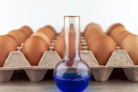 A flask with chemical preparations on the table, an egg tray in the foregroun Foto stock