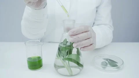 Flask with green leaves. Stock Footage 144014650