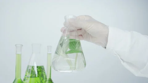 Flask with green liquid and algae. Stock Footage 144014140