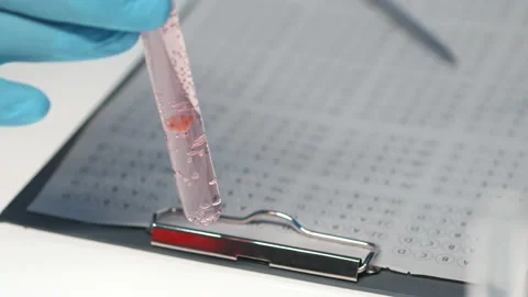 Flask with Liquid Substance Where Tiny Sample of Lab-grown Meat Was Placed Stock Footage 234263679