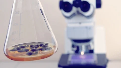 Flask with mold Stock Footage 98622331