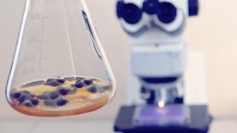 Flask mold shake Stock Footage 98622335