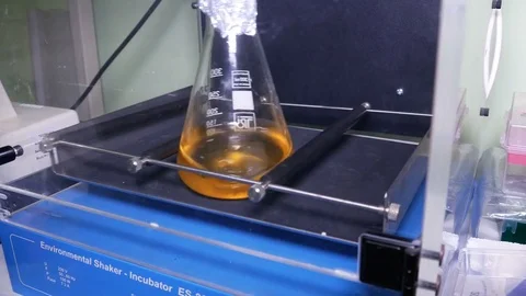 Flask in thermostat with shaker Video stock 84226273