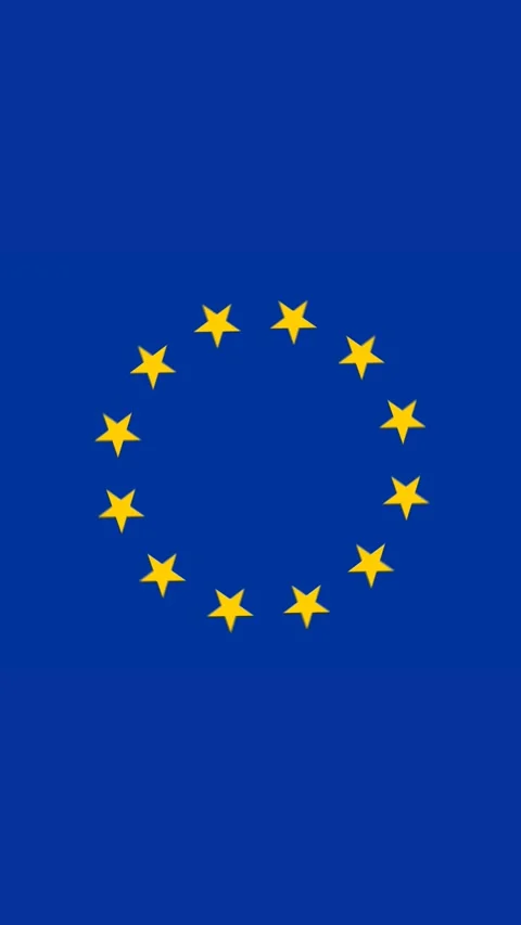 Flat 2D loop animation. Yellow stars on blue background. Flag of  European Union Stock Footage 294608284