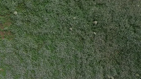 Flat Aerial of White Rocket 4k drone Stock Footage 287451117