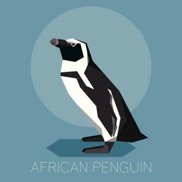 Flat African Penguin Stock Illustration