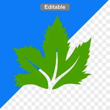 Flat art design illustrations maple green leave 스톡 일러스트