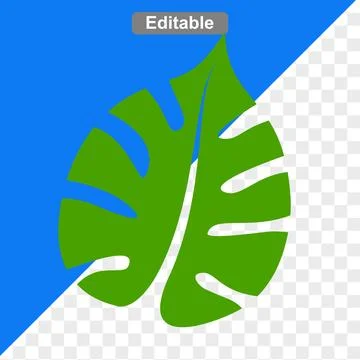 Flat art design illustrations monstera green leave Illustrazione stock