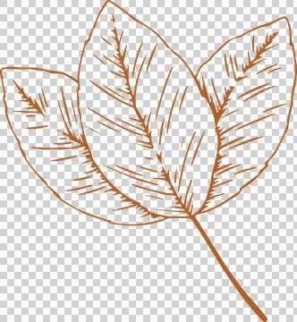Flat art showing three overlapping leaves with orange outlines, hatching on Illustrazione stock