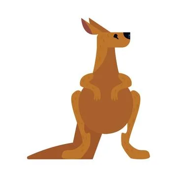 Flat australian kangaroo Stock Illustration