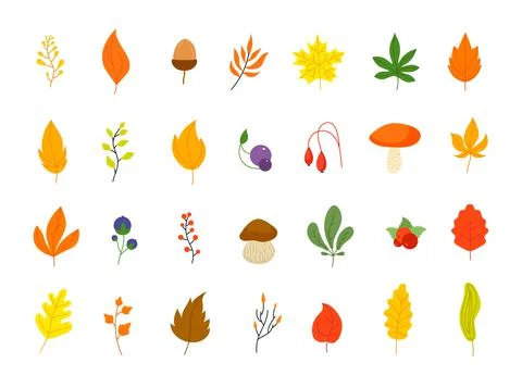 Flat autumn forest elements. Leaves berries icons, graphic leaf. Oak marple Stock Illustration