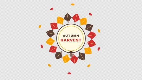 Flat Autumn Oak Leaves Fall Harvest Wreath with Wooden Round Plate Badge and 库存影片 346566196