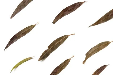 Flat background lined from dry plants. Autumn herbarium of leaves. Foto stock