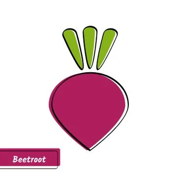 Flat beetroot education card with black contour Stock Illustration