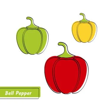 Flat bell pepper education card with black contour Stock Illustration