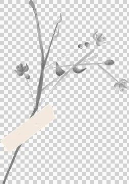 Flat botanical design is showing stems with buds, blossoms over beige label, Ilustração Stock