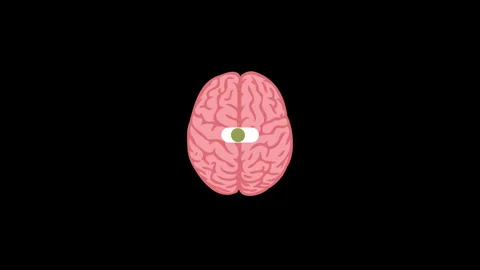 Flat brain with toggle switch in center on black background 스톡 동영상 311756343