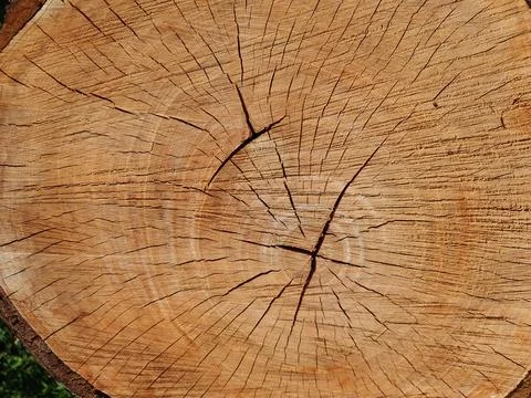 Flat brown wood texture background Stock Photos
