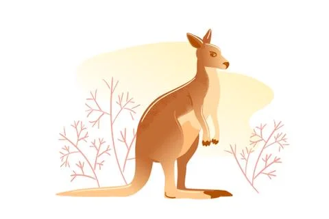 Flat card flat illustration isolated on white background. Australian animal Stock Illustration