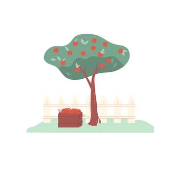 Flat cartoon apple tree with ripe apples,ecological farm,agriculture vector Stock-Illustration