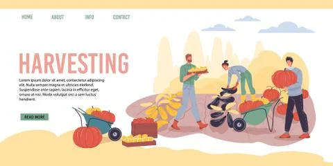 Flat cartoon characters harvesting, vector illustration concept Stock Illustration