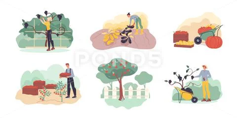 Flat cartoon characters harvesting, vector illustration concept ~ Clip ...