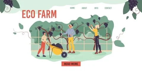 Flat cartoon characters harvesting, vector illustration concept Illustrazione stock