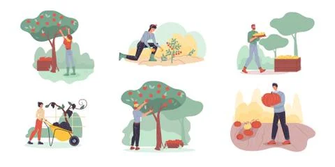 Flat cartoon characters harvesting, vector illustration concept Stock Illustration