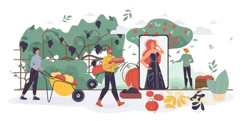 Flat cartoon characters harvesting, vector illustration concept Stock Illustration