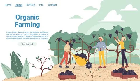 Flat cartoon characters harvesting, vector landing page concept Stock Illustration