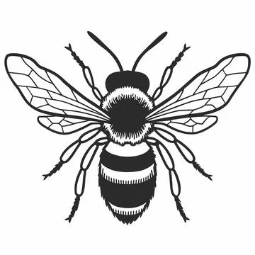 Flat Cartoon Style Bee Vector Illustration Stock Illustration