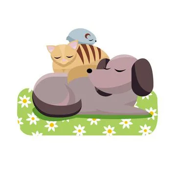 Flat cartoon vector illustration cat and chinchilla sleeps comfortably on dog Stock Illustration
