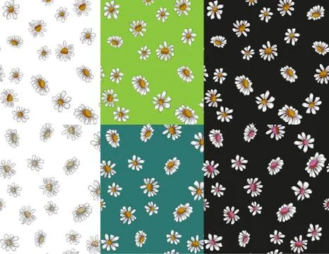 Flat chamomile for concept design. Seamless vector texture. Seamless pattern. Stock-Illustration