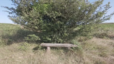 Flat color close up of wooden park bench on grassy ground Stock Footage 340445313