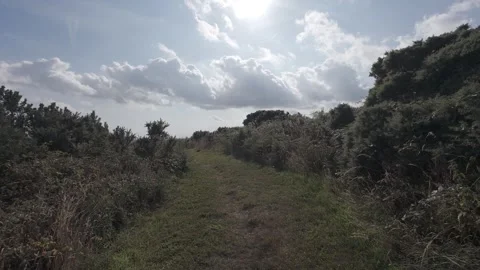 Flat color dirt hiking path on hill surrounded by green bushes Stock Footage 340444288