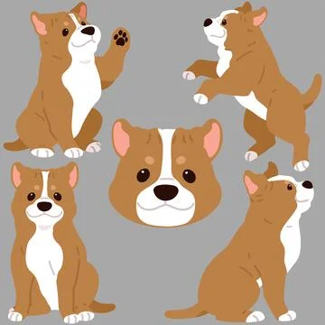 Flat colored adorable and simple Pitbull illustrations set Stock Illustration
