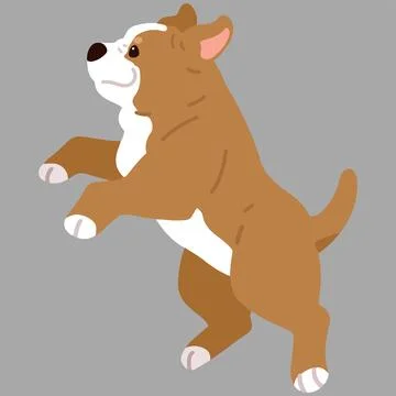 Flat colored adorable and simple Pitbull jumping and playing Stock Illustration