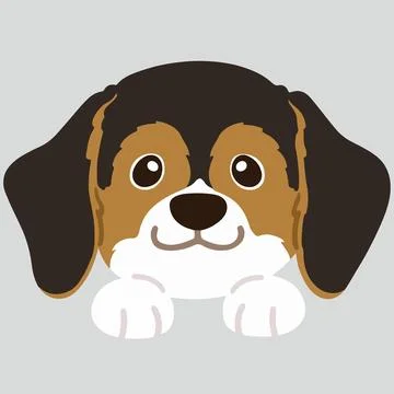 Flat colored adorable dark tri colored Beagle front face with paws Stock Illustration