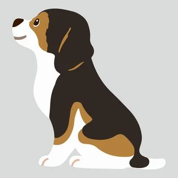 Flat colored adorable dark tri colored Beagle sitting in side view Stock Illustration
